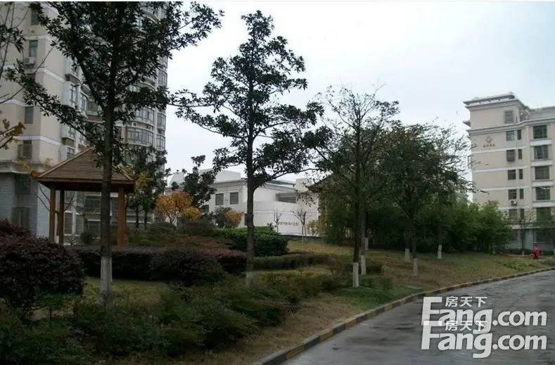 丽景华庭最新人气经纪人排行榜不要错过