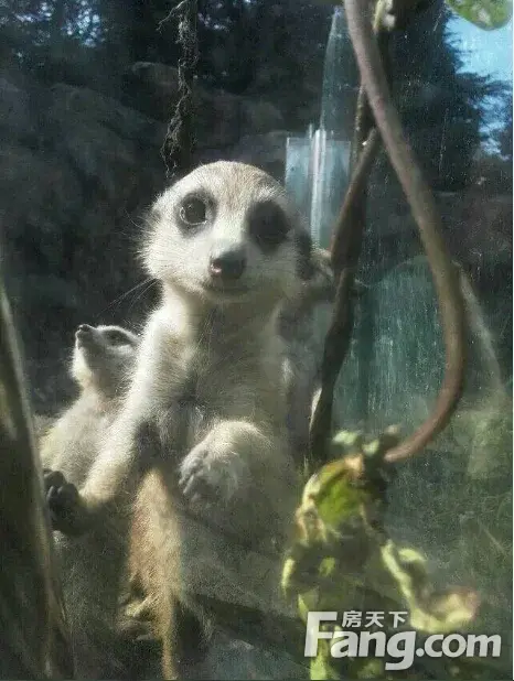 Ͼ԰һΣ˴˵еޣ