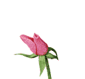 3.8ж Ҫ