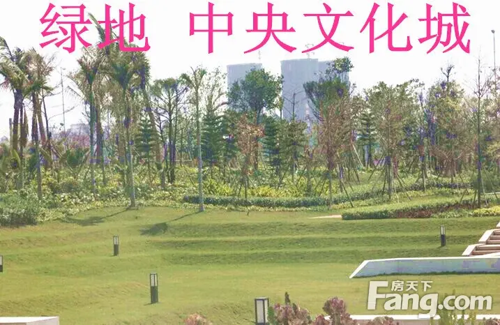 绿地海森林