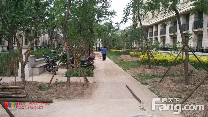 Сչ롿521СʵƬ·֮СʲôӴ~~