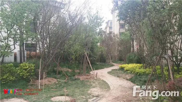 Сչ롿521СʵƬ·֮СʲôӴ~~