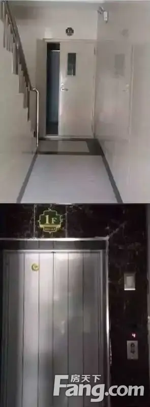 զ