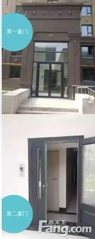 զ