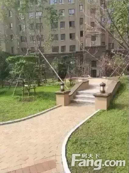 զ