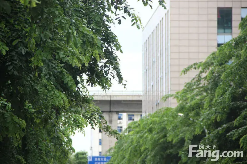 【宾盛椰岛<em>华庭</em>业主论坛】【房妹看房记】宾盛