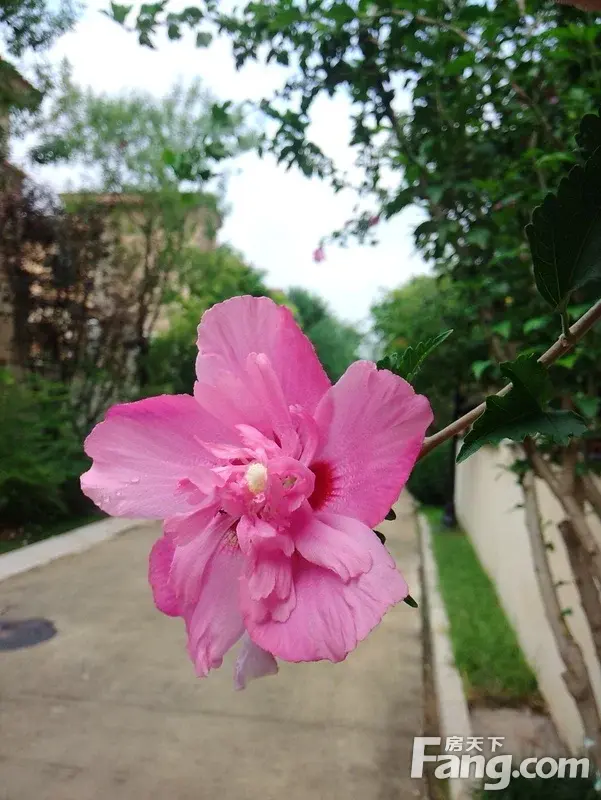 ɽɫһ˵˹ɼʱ 