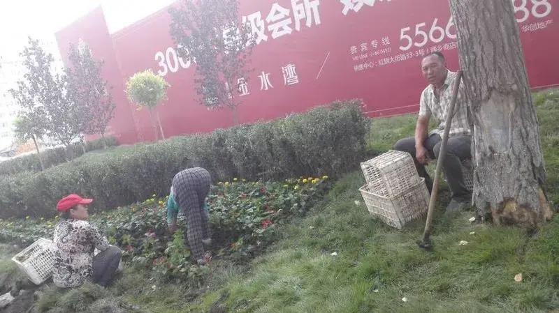 龙跃金水湾整了个大红围挡-龙跃·金水湾业主论坛