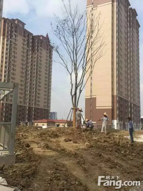 欢大喜奔,告诉你们一个不为人知的秘密