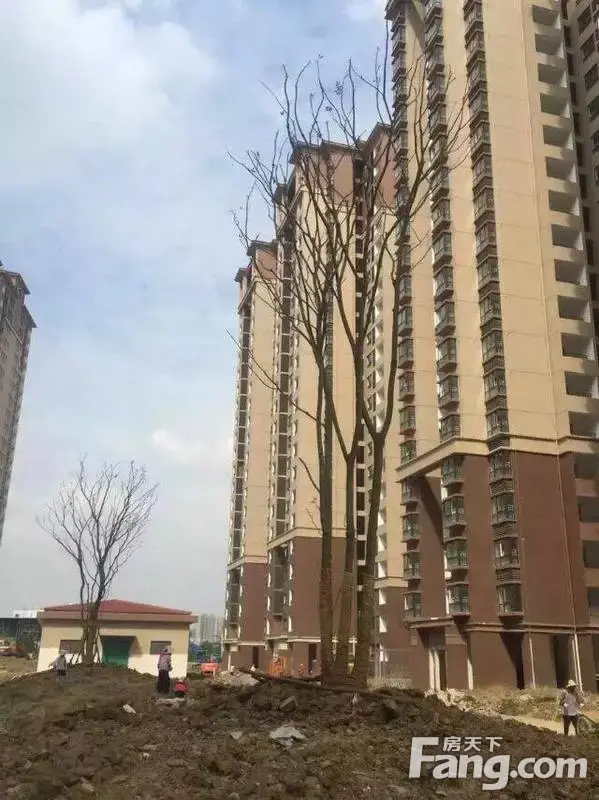 欢大喜奔,告诉你们一个不为人知的秘密