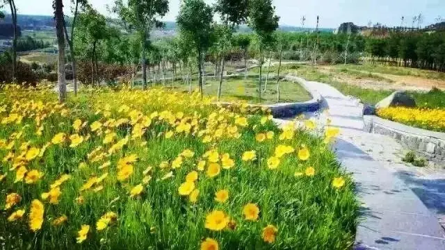 随手解锁华山珑城美炸天内景,不美你告我~