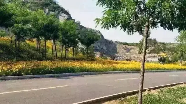 随手解锁华山珑城美炸天内景,不美你告我~
