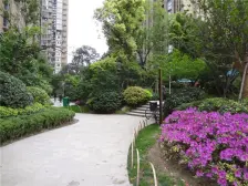 23年新装修的标准三房 客厅朝南带阳台 户型方正