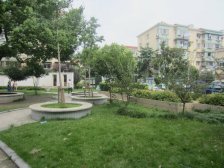 店长力推,新上莘城苑双南两房,精装修,满五年,诚意出售