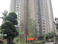 步行街精装两房 住家安静 诚心出售 出行方便