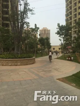 未来海岸系水云湾