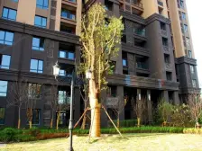 户型方正 视野开阔 精装修 南北通透直线对流 随时看房