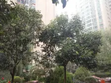 观景房跃层大四室三卫楼层好视野无遮挡