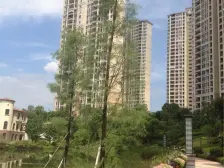 地铁口物业 全屋定制家私家电 看花园 采光通风好
