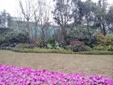 照母山退台式3+2叠拼别墅,带花园地下室,安静宜居