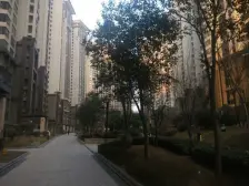 盛唐后排不临高架,中间楼层,采光无遮挡, 拎包入住