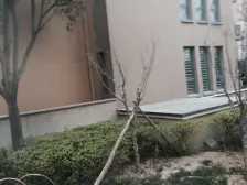 国基路千亩大盘 双气 洋房 小三房 精装修 诚心出售