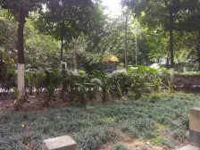 米兰香洲 2室1厅 东南