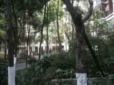 鹭岛国际一二期 4室2厅 东南