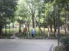 鹭岛国际一二期 5室1厅 东南