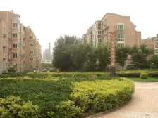 武夷花园月季园 1室1厅 南