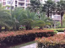 联泰香域滨江 南北通透,采光好 装修好,环镜优美 近地铁 视野好,诚心出售