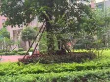边位装修10万出关保养新。业主人好,家私电器都留下