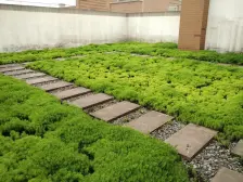 雍江翠璟 4室2厅 北