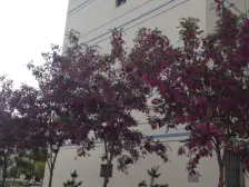 家合景园 3室1厅 南 北