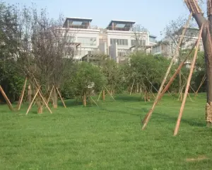 蓝山美树 3室2厅 南 北