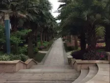 洋房复式楼,实得使用面积大,户型方正