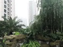 岔路口轻轨站次新小区 世贸广场 大2房大阳台住家必看