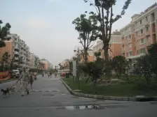 大三房 高楼层视线无遮挡 俯瞰黄浦江 南北
