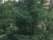 鸳鸯 龙湖弗莱明戈四房245万