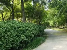 近地铁,家具全送 产权清晰,采光好 新上房源