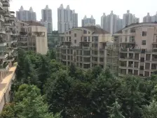 欧式宫廷风,板式通透户型,看小区中庭 正南朝向。