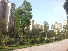 东方华府,1房1厅,有阳台,莞城