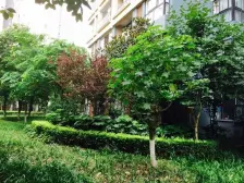 汽博中心 奥林匹克花园七期(紫枫郡)四房128.7万