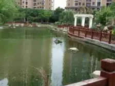 二期临河,景观楼层,全天采光,诚意出售,店长推荐!