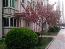 新港城D区86.44㎡ 河景两室 四楼 H户型 看房方便