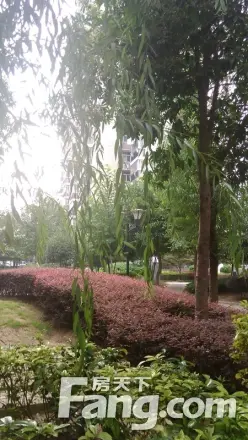百步亭花园景兰苑
