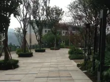 业主安心卖,两江四岸标杆楼盘,龙湖双轻轨