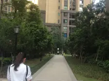 八千单价大三房!精装修!双轻轨!