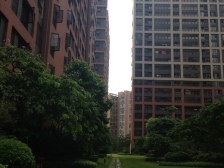 南城大社区,光线好。视野无遮挡
