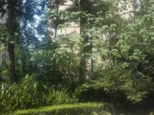 滩子口片区 保利心语花园二房110万